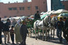 Marrakech11.jpg